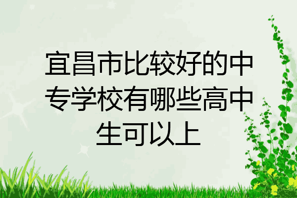 宜昌市比较好的中专学校有哪些高中生可以上