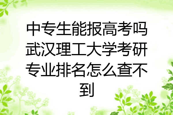 中专生能报高考吗武汉理工大学考研专业排名怎么查不到