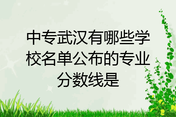 中专武汉有哪些学校名单公布的专业分数线是