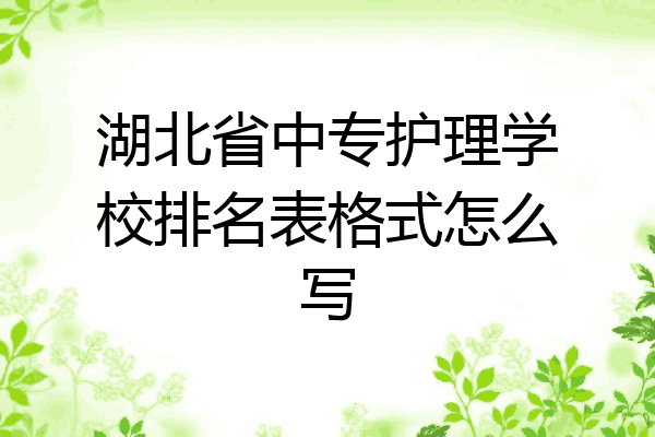 湖北省中专护理学校排名表格式怎么写