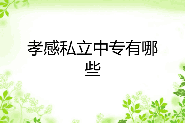 孝感私立中专有哪些