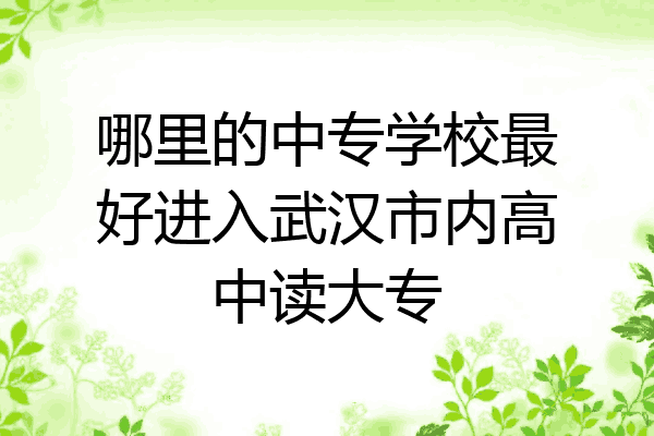 哪里的中专学校最好进入武汉市内高中读大专