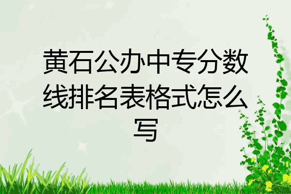 黄石公办中专分数线排名表格式怎么写