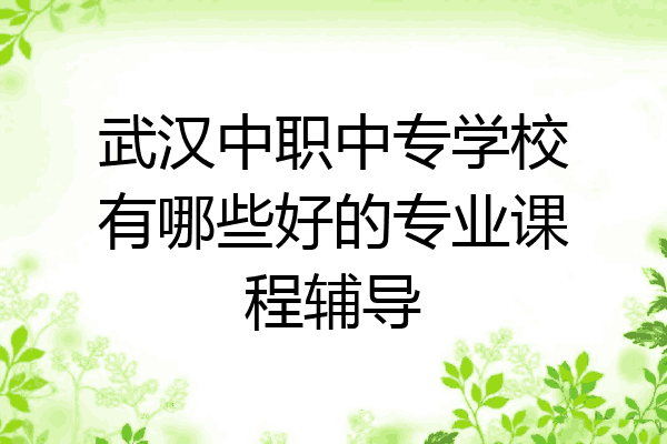 武汉中职中专学校有哪些好的专业课程辅导