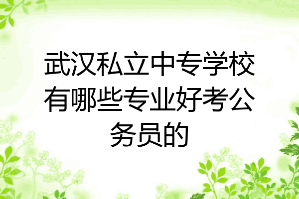 武汉私立中专学校有哪些专业好考公务员的