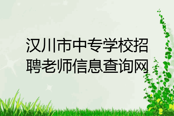 汉川市中专学校招聘老师信息查询网