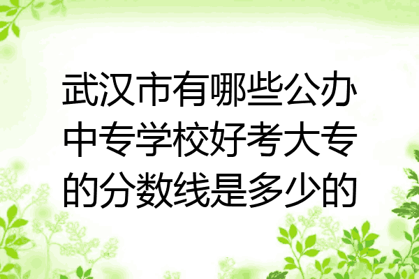 武汉市有哪些公办中专学校好考大专的分数线是多少的