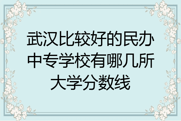 武汉比较好的民办中专学校有哪几所大学分数线