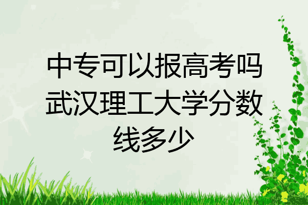 中专可以报高考吗武汉理工大学分数线多少