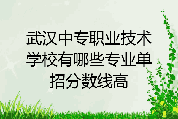 武汉中专职业技术学校有哪些专业单招分数线高