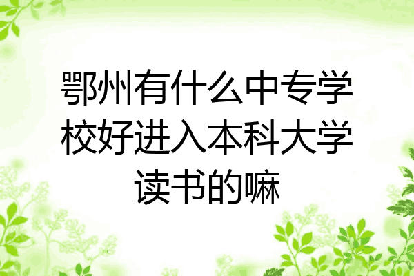 鄂州有什么中专学校好进入本科大学读书的嘛