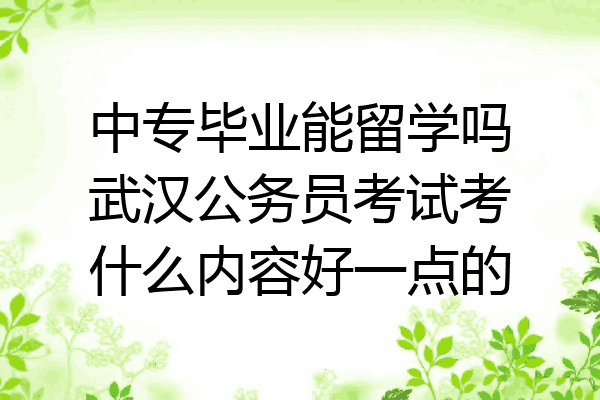中专毕业能留学吗武汉公务员考试考什么内容好一点的