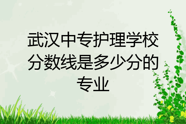 武汉中专护理学校分数线是多少分的专业