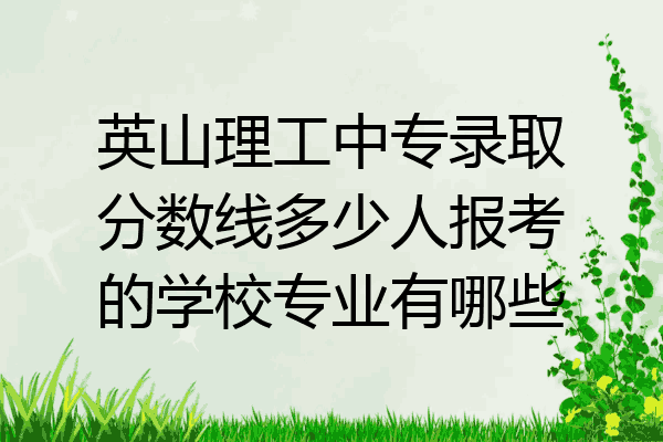 英山理工中专录取分数线多少人报考的学校专业有哪些