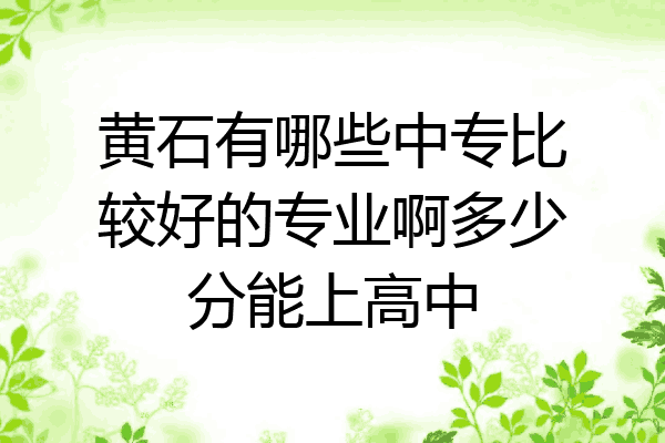 黄石有哪些中专比较好的专业啊多少分能上高中