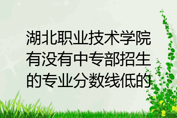 湖北职业技术学院有没有中专部招生的专业分数线低的
