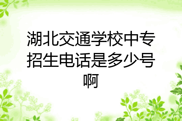 湖北交通学校中专招生电话是多少号啊