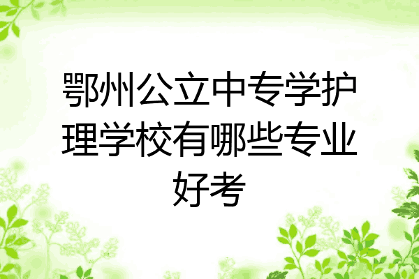 鄂州公立中专学护理学校有哪些专业好考