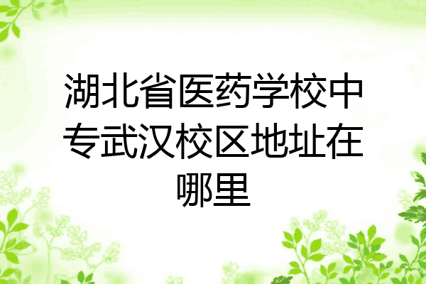 湖北省医药学校中专武汉校区地址在哪里