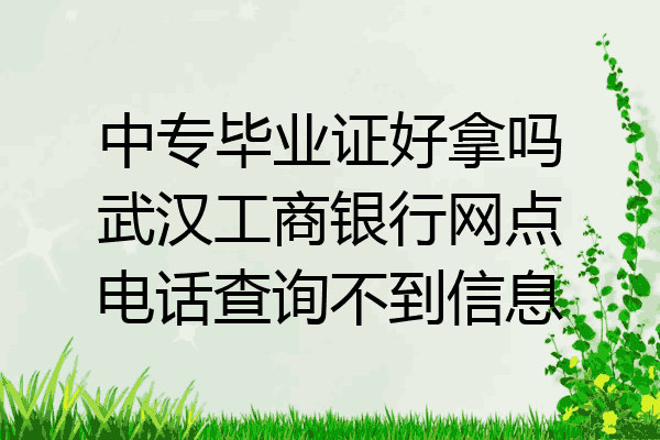 中专毕业证好拿吗武汉工商银行网点电话查询不到信息