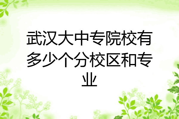 武汉大中专院校有多少个分校区和专业