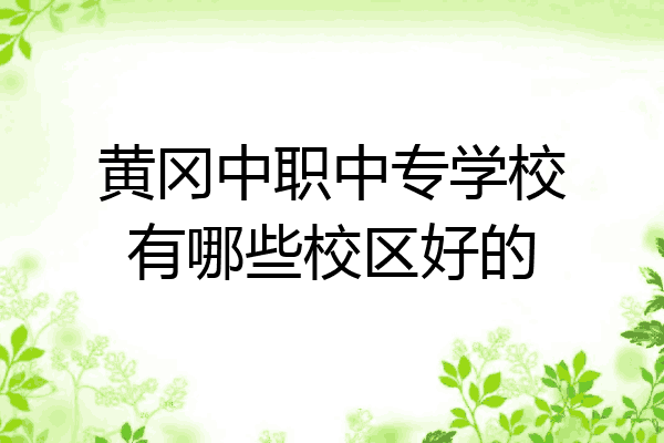 黄冈中职中专学校有哪些校区好的
