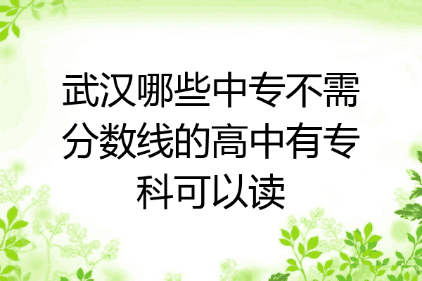 武汉哪些中专不需分数线的高中有专科可以读