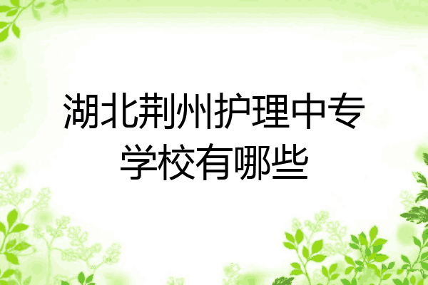 湖北荆州护理中专学校有哪些