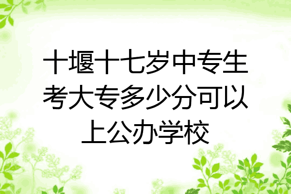 十堰十七岁中专生考大专多少分可以上公办学校