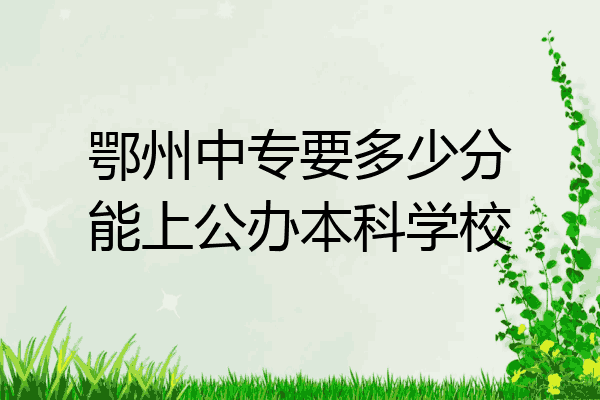 鄂州中专要多少分能上公办本科学校