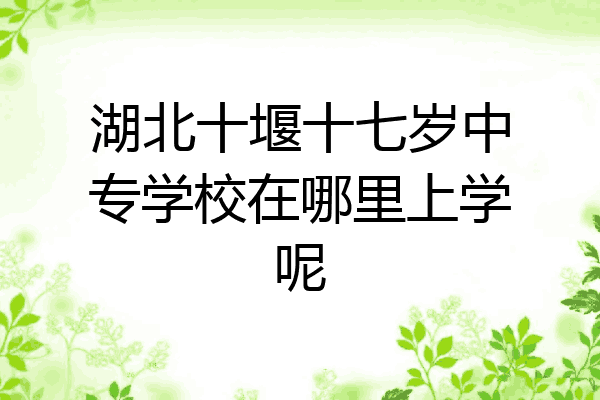 湖北十堰十七岁中专学校在哪里上学呢