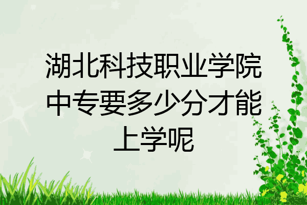 湖北科技职业学院中专要多少分才能上学呢