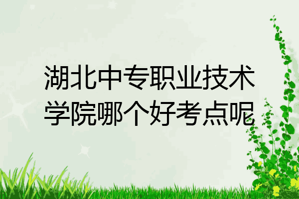 湖北中专职业技术学院哪个好考点呢