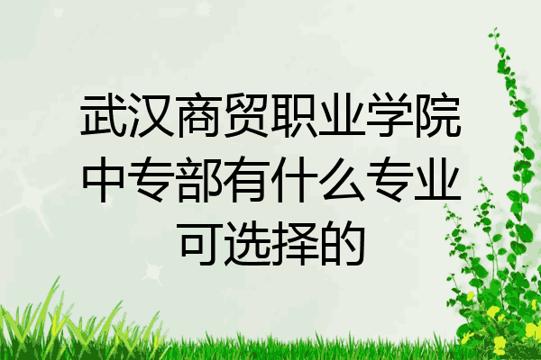 武汉商贸职业学院中专部有什么专业可选择的