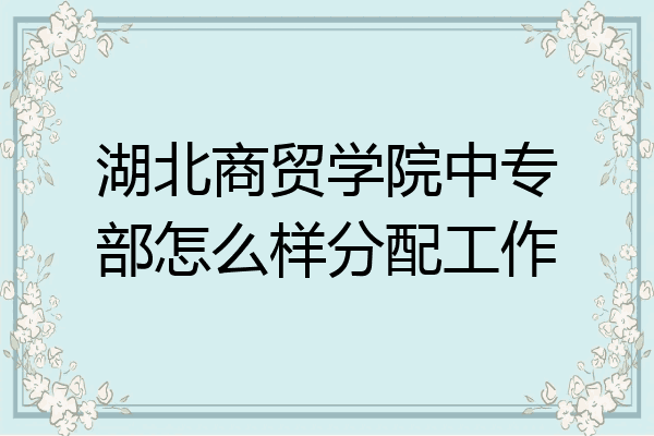 湖北商贸学院中专部怎么样分配工作