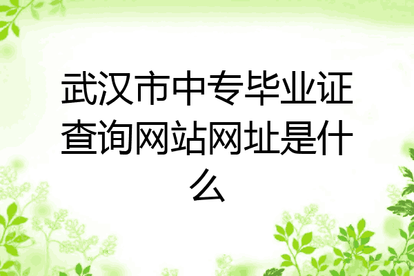 武汉市中专毕业证查询网站网址是什么