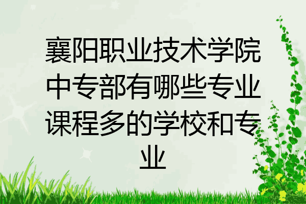 襄阳职业技术学院中专部有哪些专业课程多的学校和专业