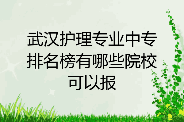 武汉护理专业中专排名榜有哪些院校可以报
