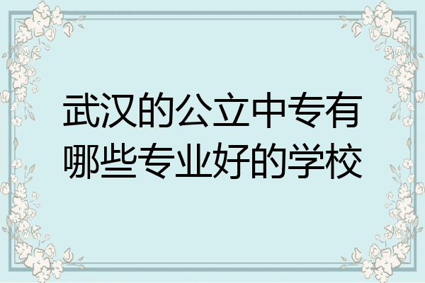 武汉的公立中专有哪些专业好的学校