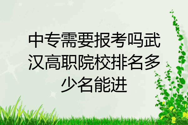 中专需要报考吗武汉高职院校排名多少名能进