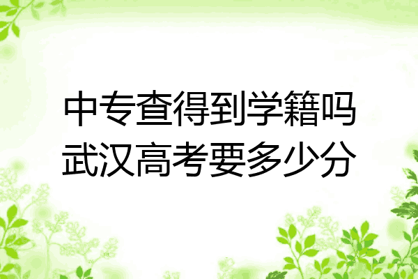 中专查得到学籍吗武汉高考要多少分