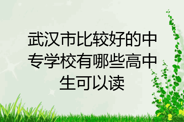 武汉市比较好的中专学校有哪些高中生可以读
