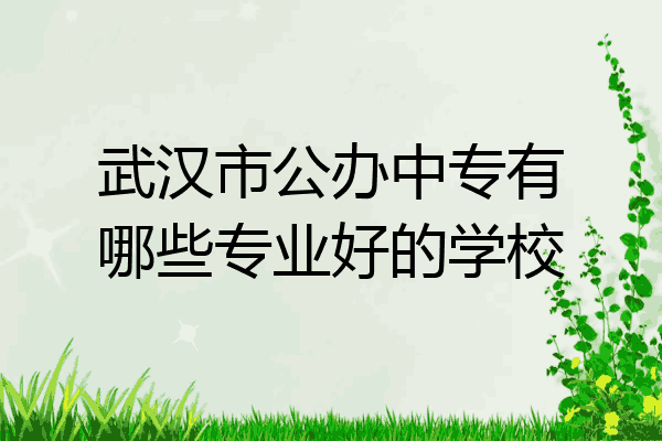 武汉市公办中专有哪些专业好的学校