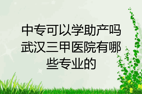 中专可以学助产吗武汉三甲医院有哪些专业的