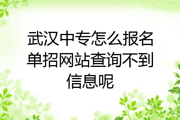 武汉中专怎么报名单招网站查询不到信息呢
