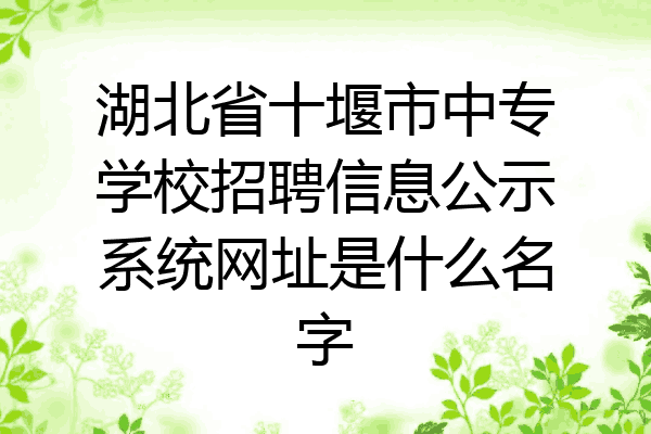湖北省十堰市中专学校招聘信息公示系统网址是什么名字