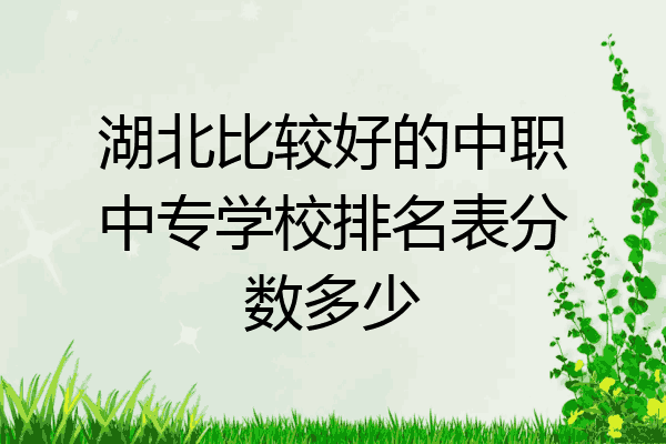 湖北比较好的中职中专学校排名表分数多少