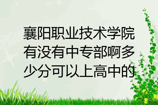 襄阳职业技术学院有没有中专部啊多少分可以上高中的
