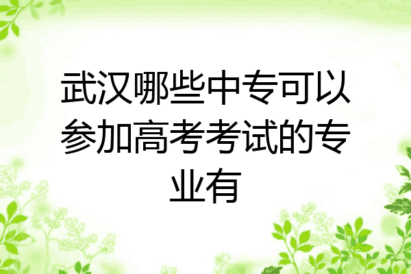 武汉哪些中专可以参加高考考试的专业有