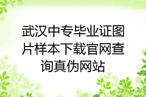 武汉中专毕业证图片样本下载官网查询真伪网站